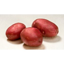 PIMPERNEL SETTEPOTET