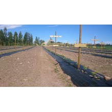 SVART JORDDEKKE MYPEX 140 CM X 100 M