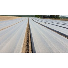 FIBERDUK NOVAGRYL 12,8X250M