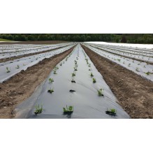 BIOFILM 15MY 1,6* 1000M U/HULL