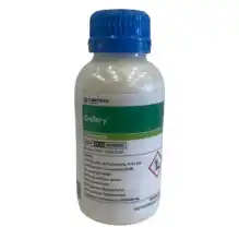 GALLERY           500 ML